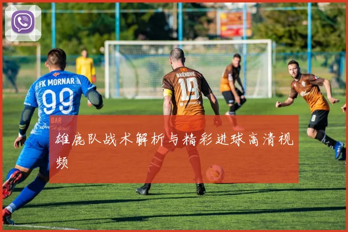 雄鹿队战术解析与精彩进球高清视频